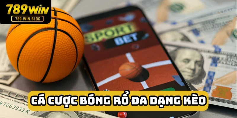 Cực nhiều lựa chọn để bạn trổ tài đoán định