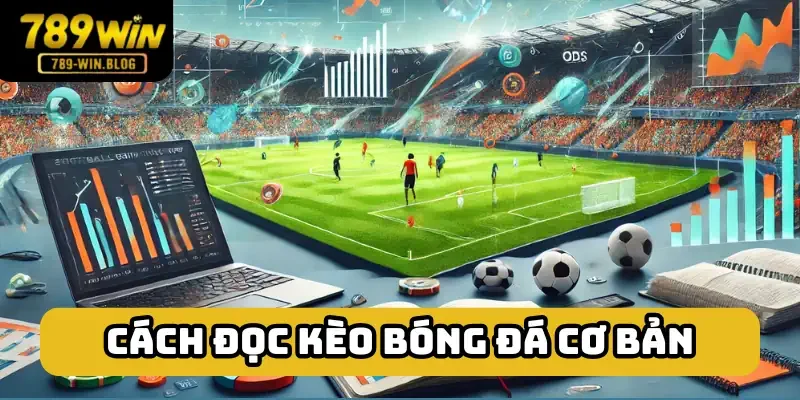 Hiểu bảng kèo cơ bản rất đơn giản