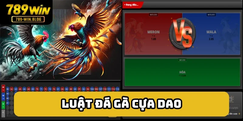 Quy tắc cần nắm của đá gà cựa dao