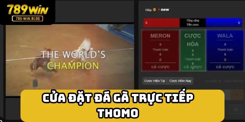 Vào tiền đơn giản với 3 cửa đặt