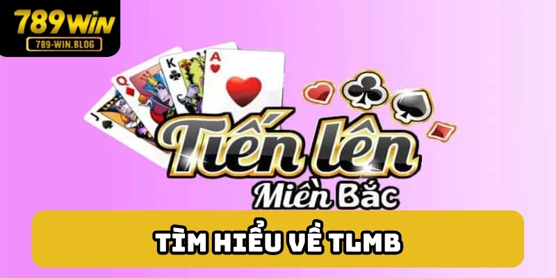 Dữ liệu ban đầu về tiến lên miền Bắc